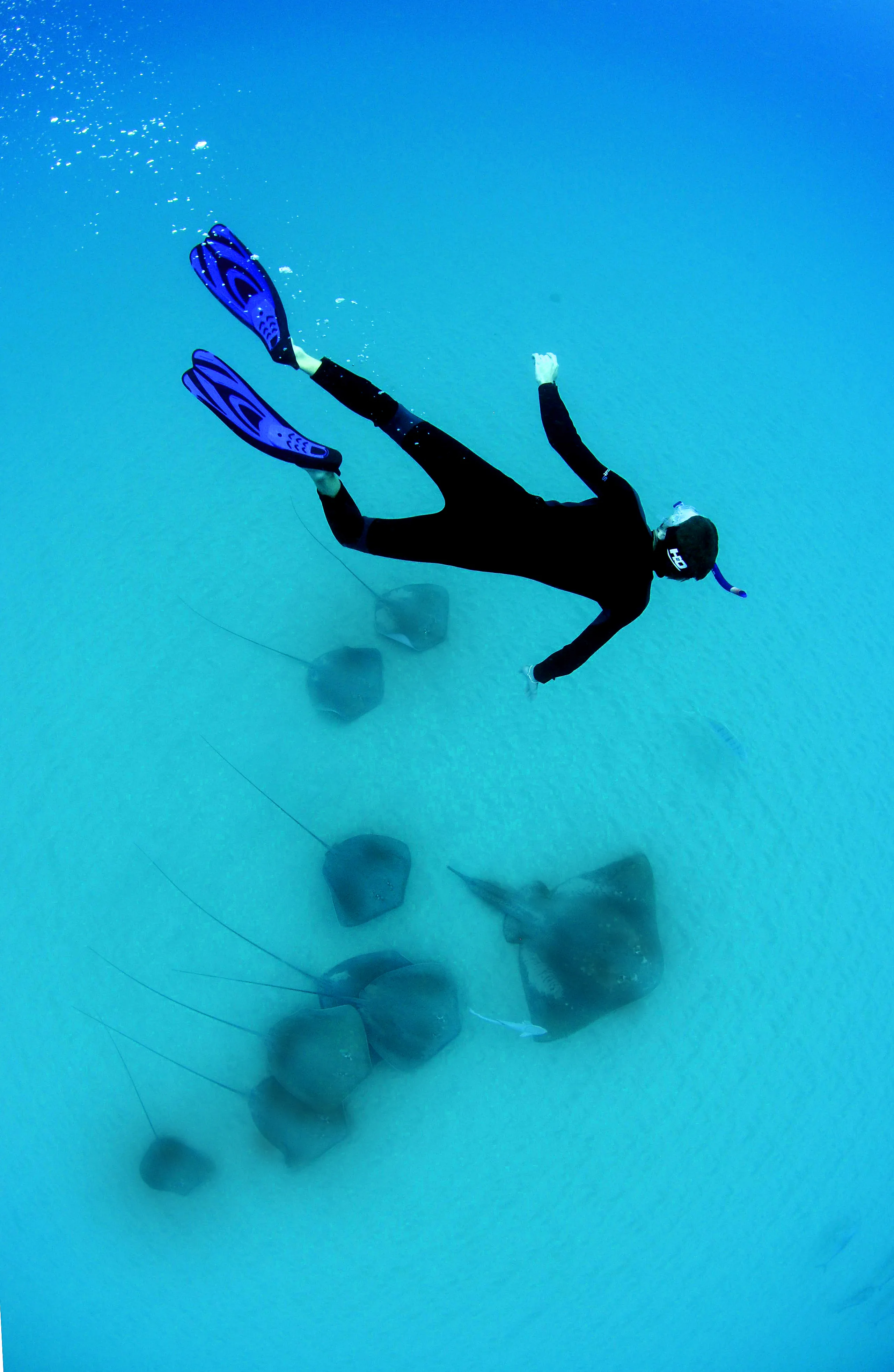 Bazaruto Snorkelling